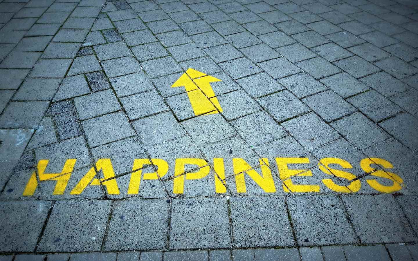 The Things That Contribute To Your Happiness